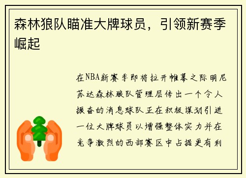 森林狼队瞄准大牌球员,引领新赛季崛起